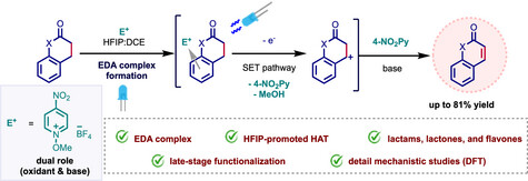 2025_10.1002_anie.202514539