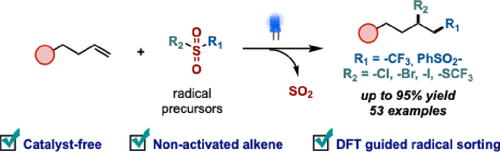 2025_10.1021_jacs.5c08562