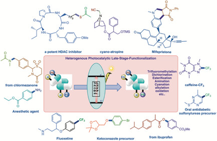 2026_10.1002_cssc.202502495